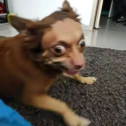 1280x1280