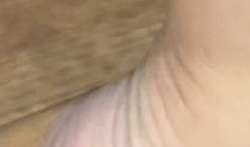 447x263