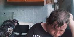 1587x814