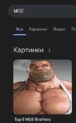 266x431