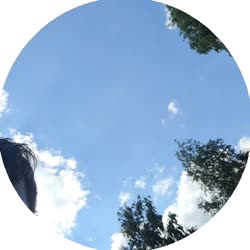 384x384