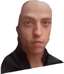 459x525