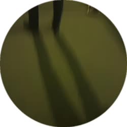 384x384