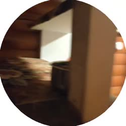 384x384