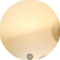 384x384
