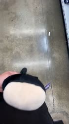 576x1024