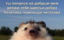 1249x799