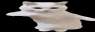 95x32