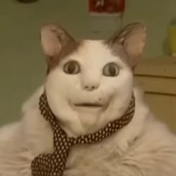 512x512