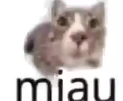 330x270