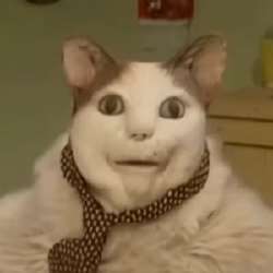 300x300