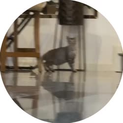 400x400
