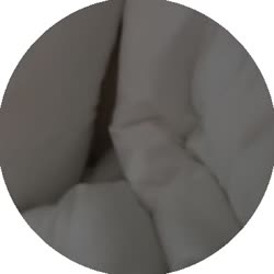 384x384