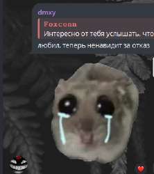 293x329