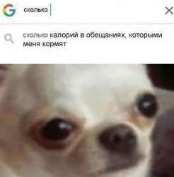720x731