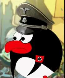 752x898