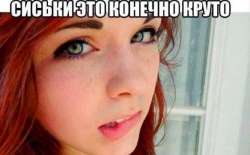1166x726