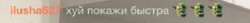 344x33