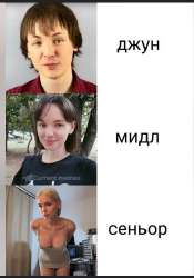 344x489