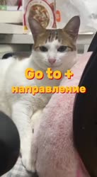 352x640