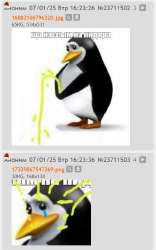 495x789