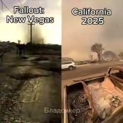 480x480