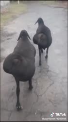 360x640