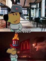 480x640
