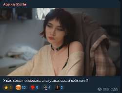 436x332
