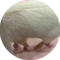 400x400