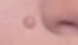 437x258