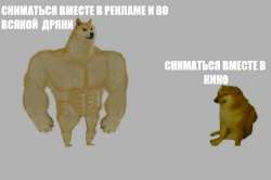 655x435