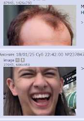 289x413