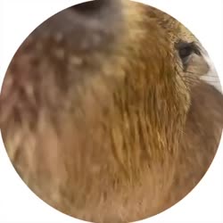 400x400