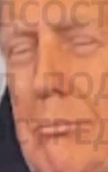 369x584