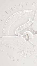 450x800