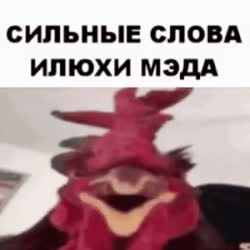 320x320