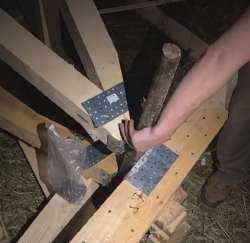 710x691