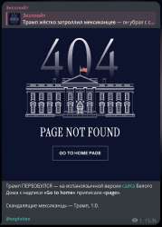 549x763