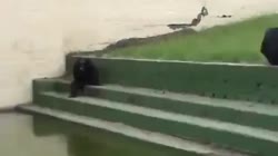 640x360