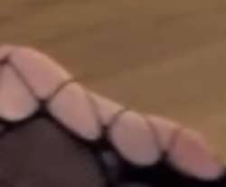 395x328