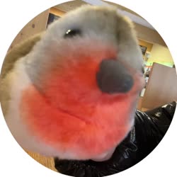 400x400