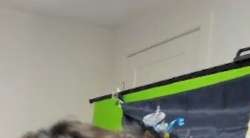 598x331