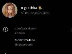 389x295