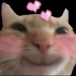 300x300