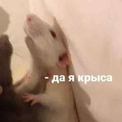 400x400
