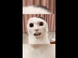 480x360