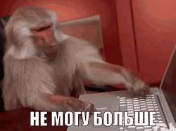 498x374