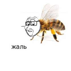 755x753