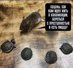 500x465